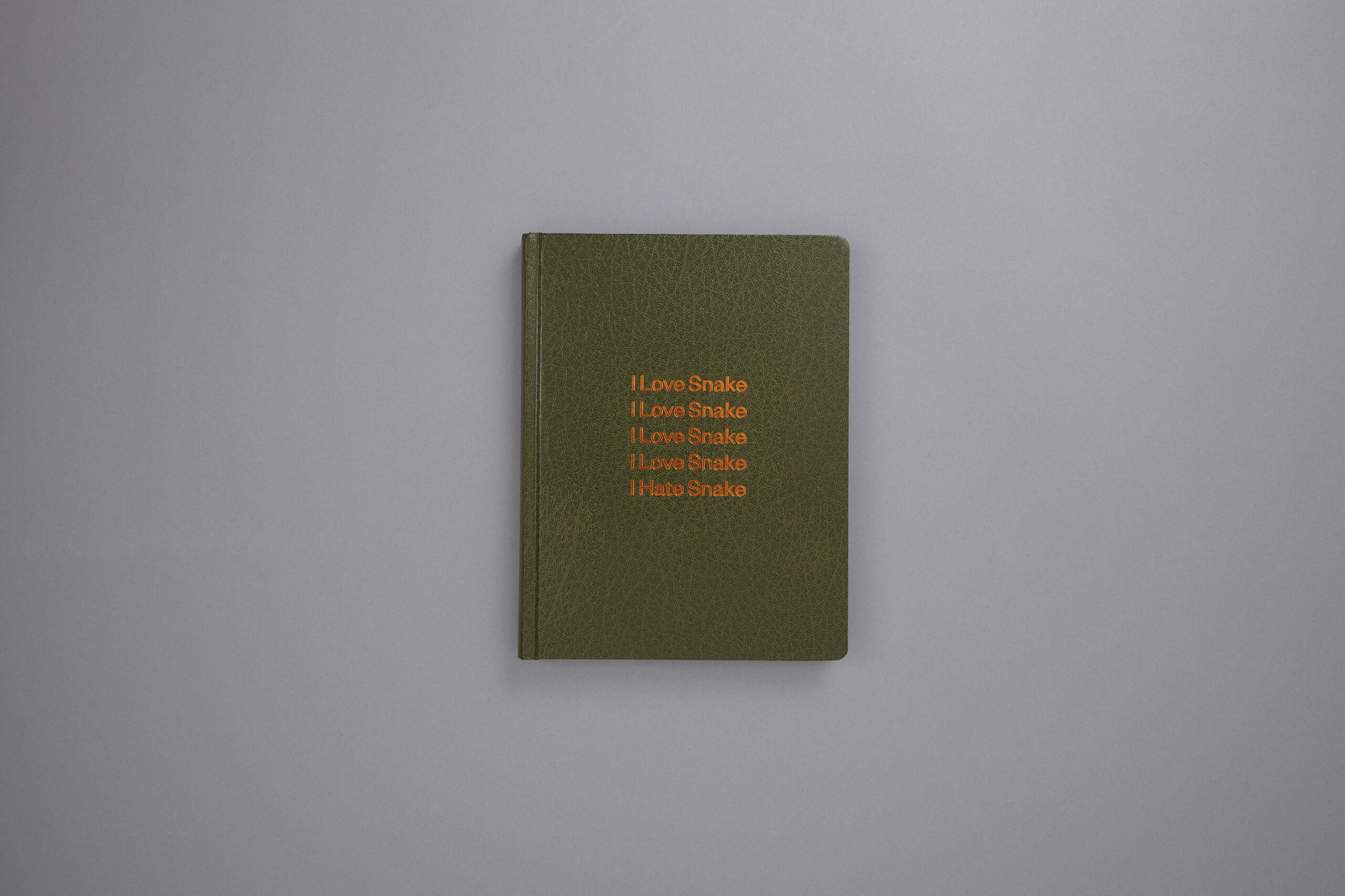 strand-clare-girl-plays-snakes-delpire-co