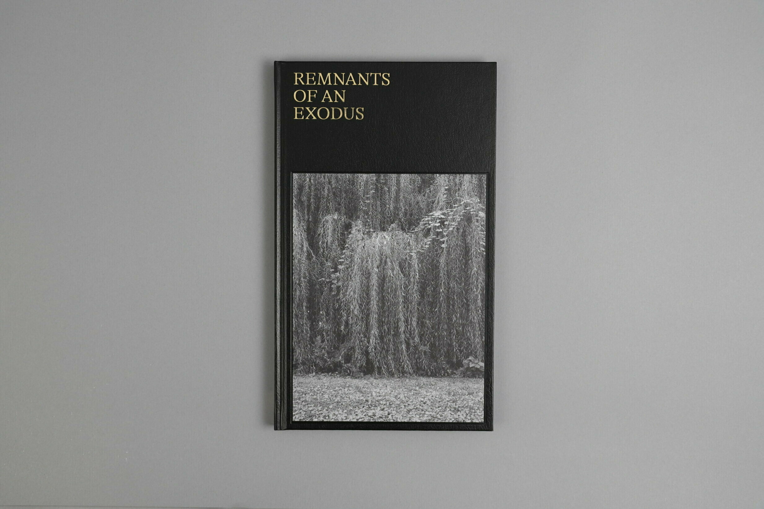 remnantsofanexodus-thompsonajl-gnomicInc-1