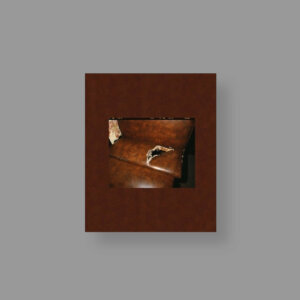 Deana-Lawson_Peter-Eleey_Mack_cover