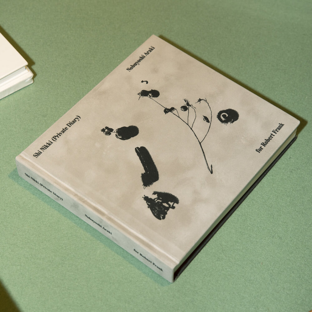 Araki-shi-nikki-delpire-boursedecommerce-cover