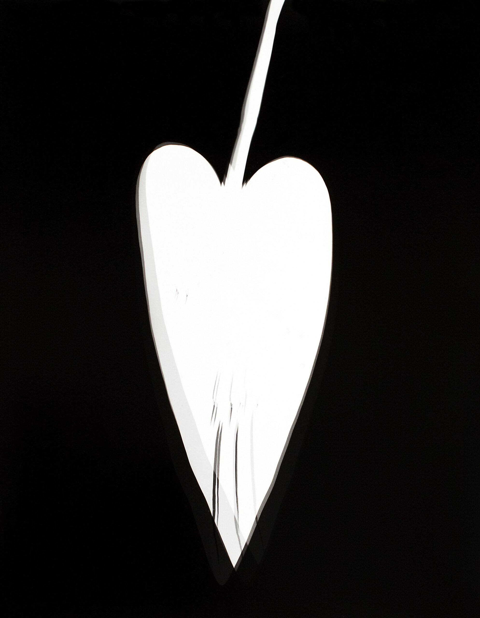 Henri-foucault-Vibrations 8-delpire