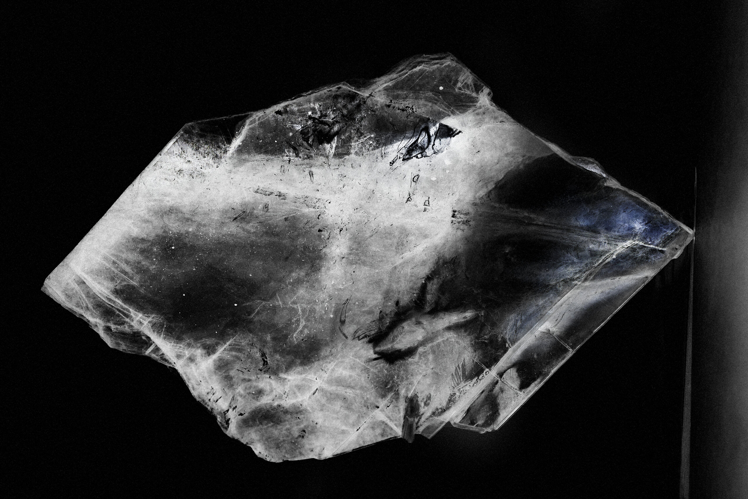 OCTOPUS_steveharries-rvb-books-webber-1