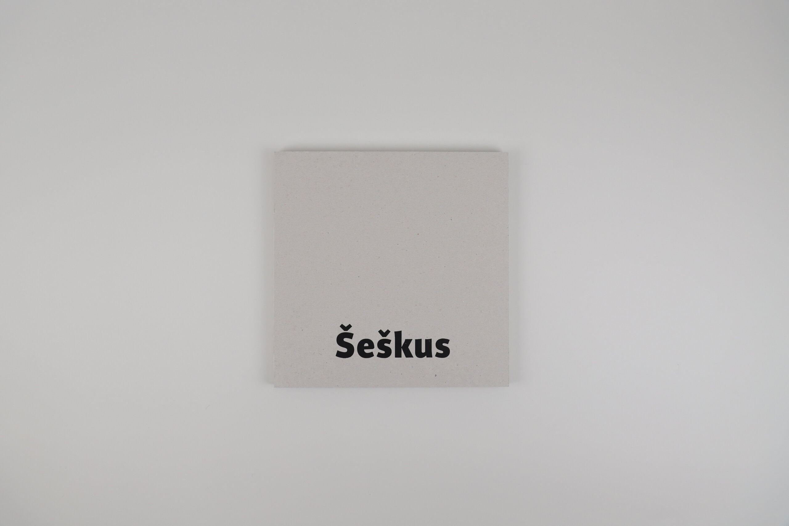 grey-but-no-grey-algirdas-seskus-kaunas-gallery-cover