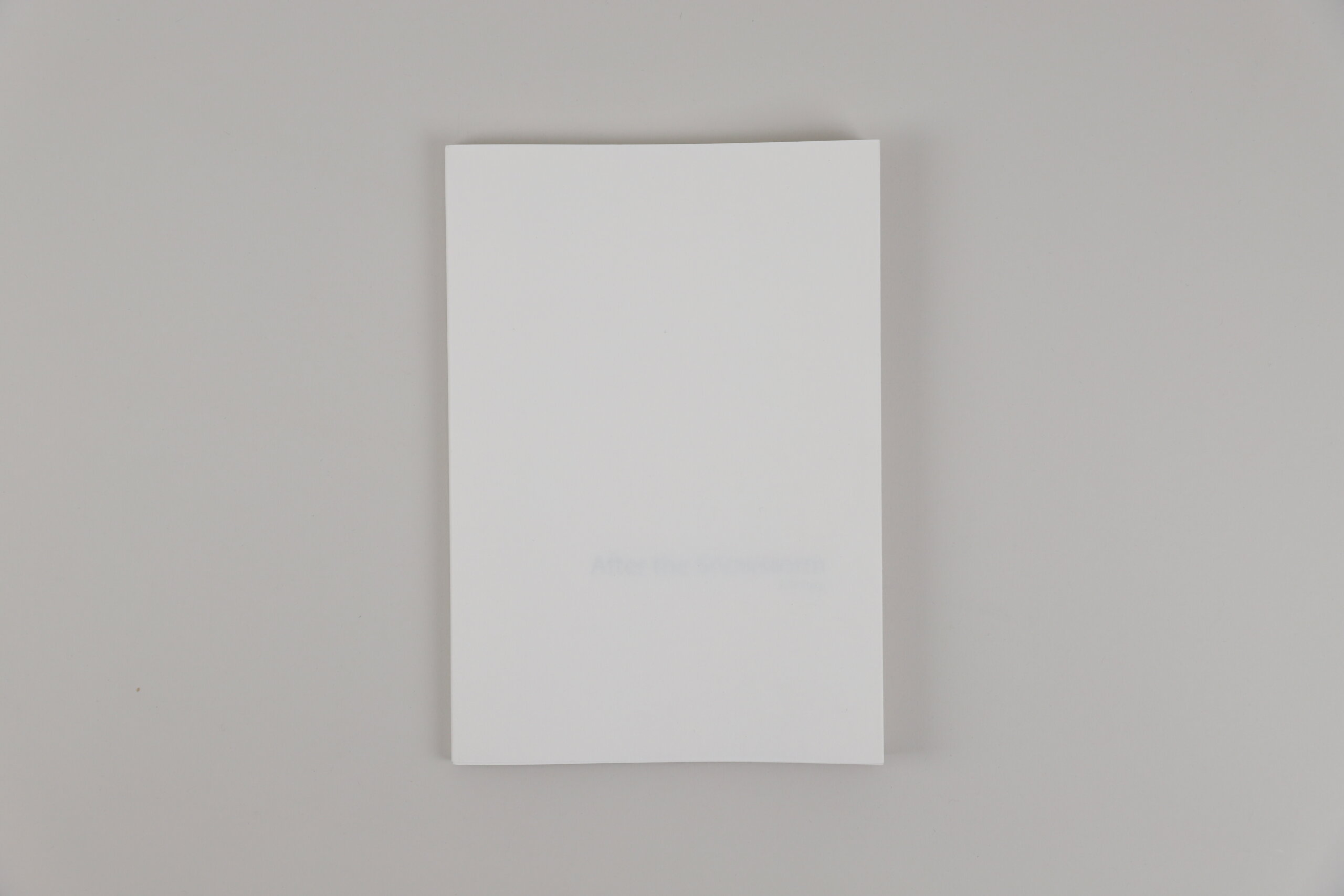 the(m)Editions-Yoshinori-Saito-SNOWSTORM-cover