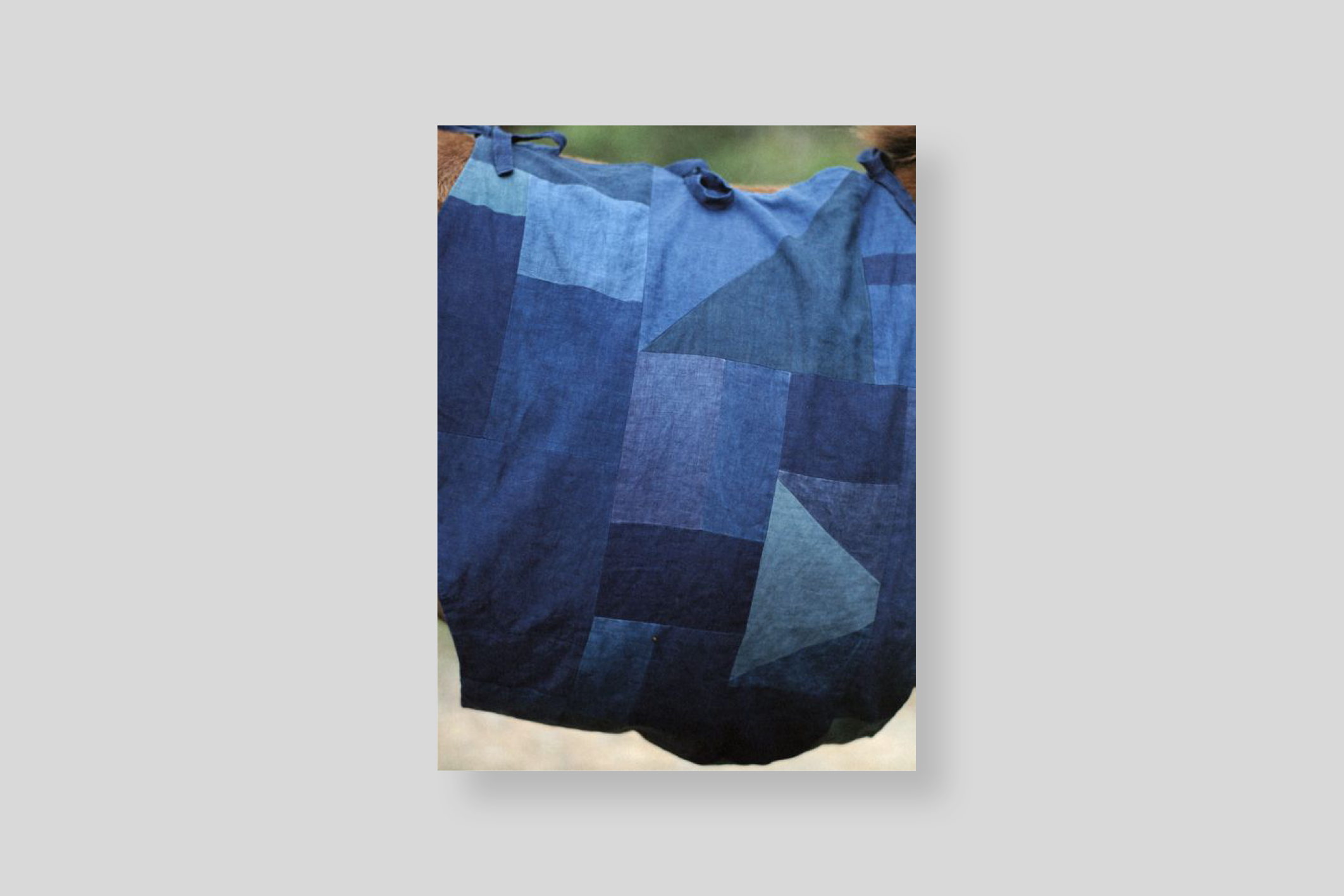 the-horse-in-the-gourd-dumas-sieboldhuis-cover