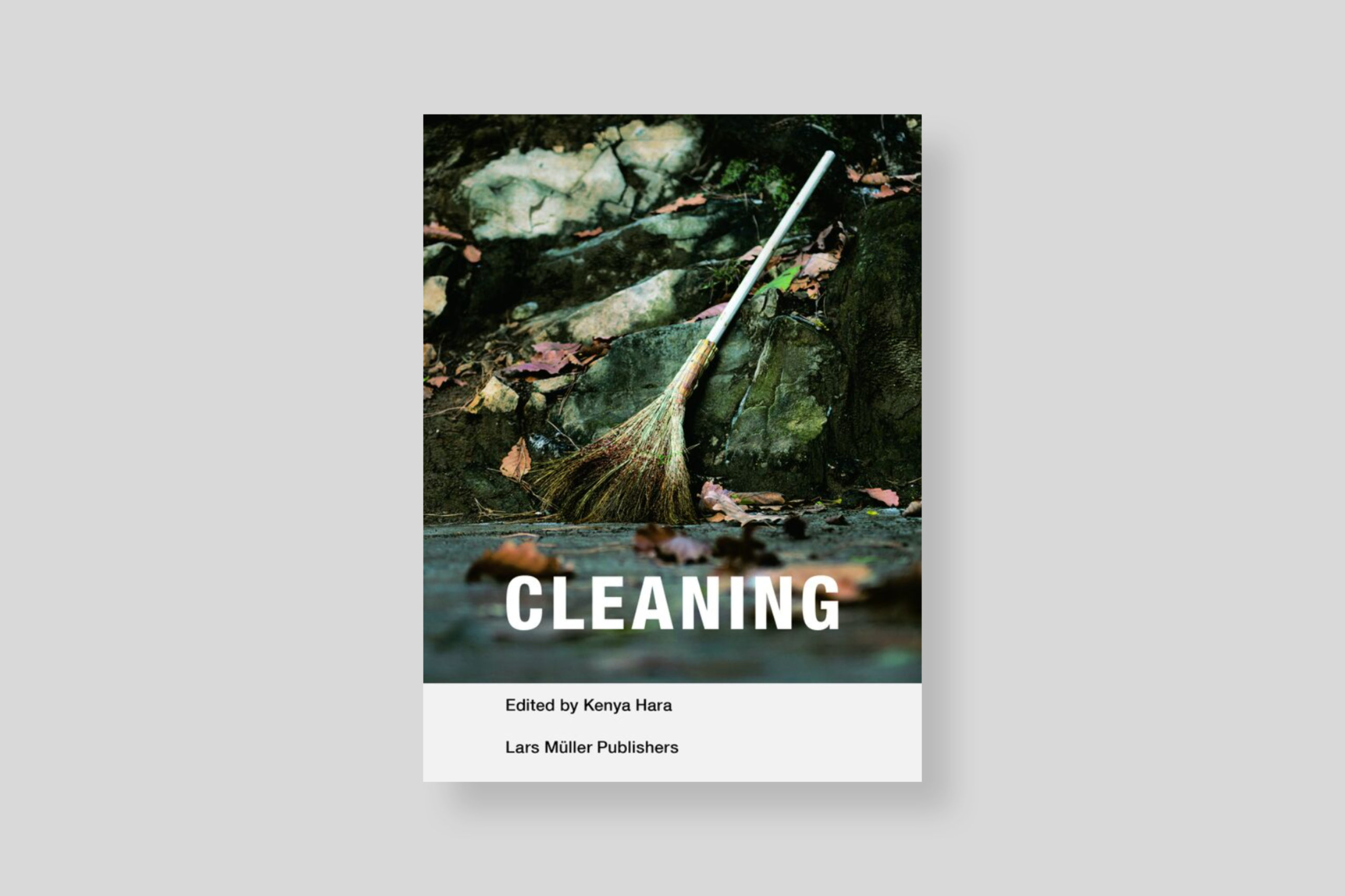 cleaning-cover