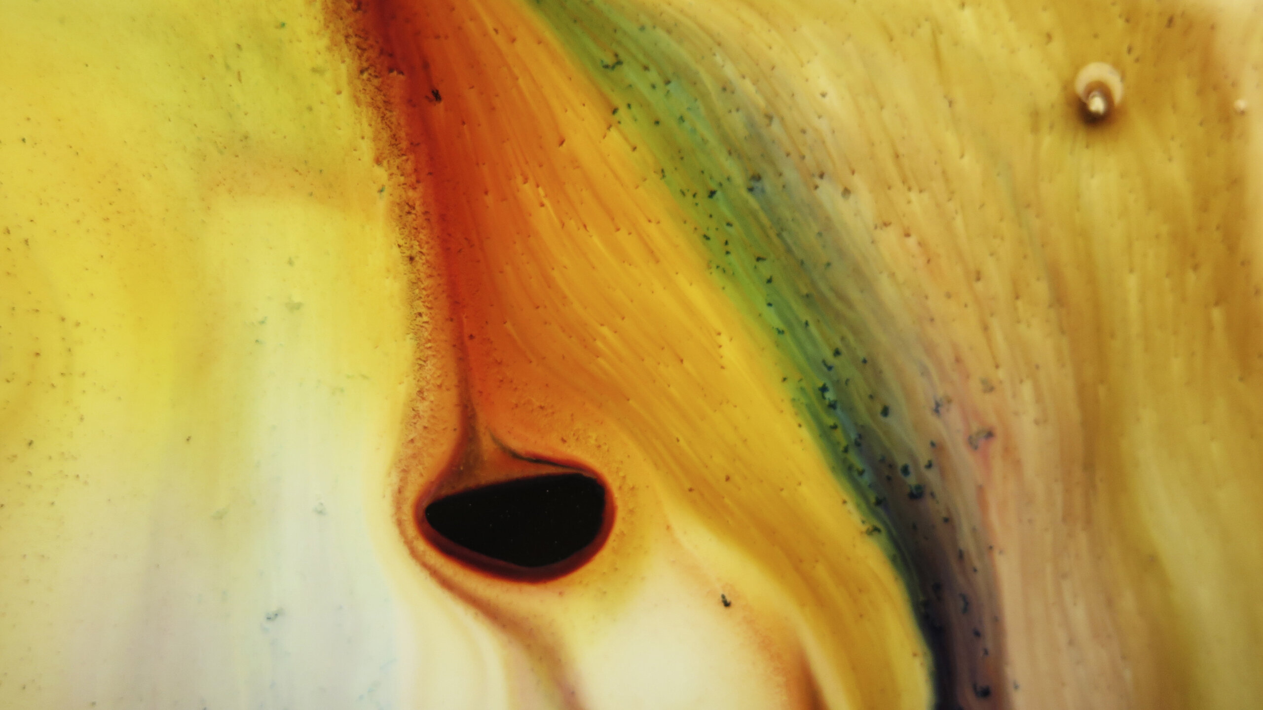 raphael-lecoquierre-moires-exposition-delpire-2024