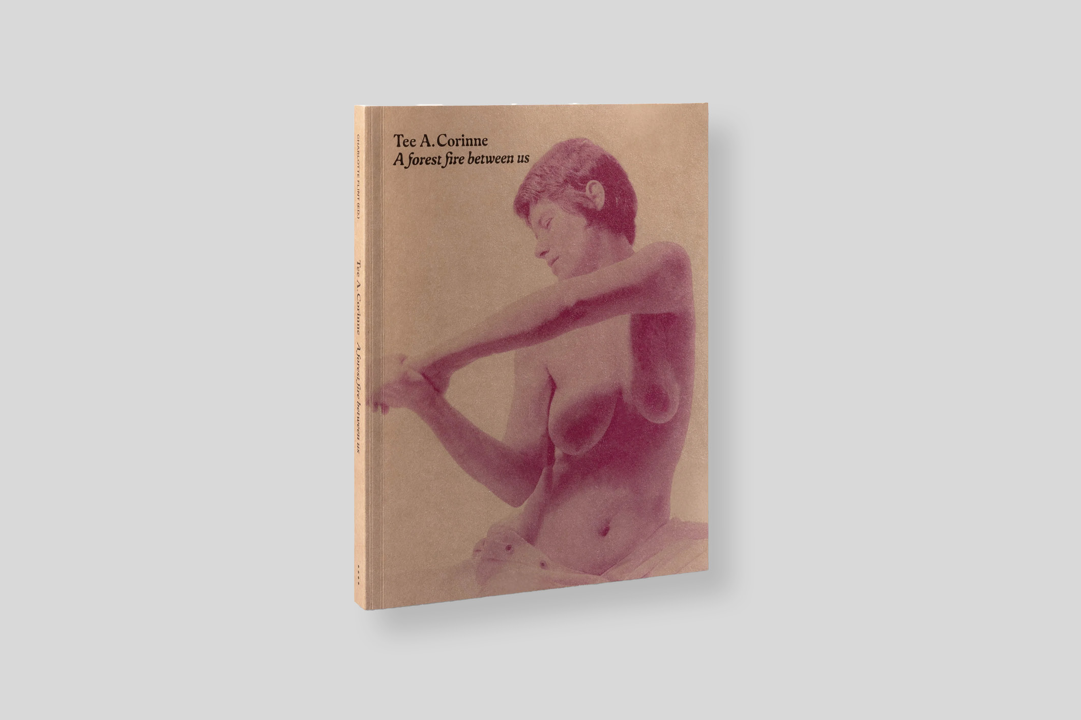 tee-a-corinne-a-forest-fire-between-us-mack-books-cover