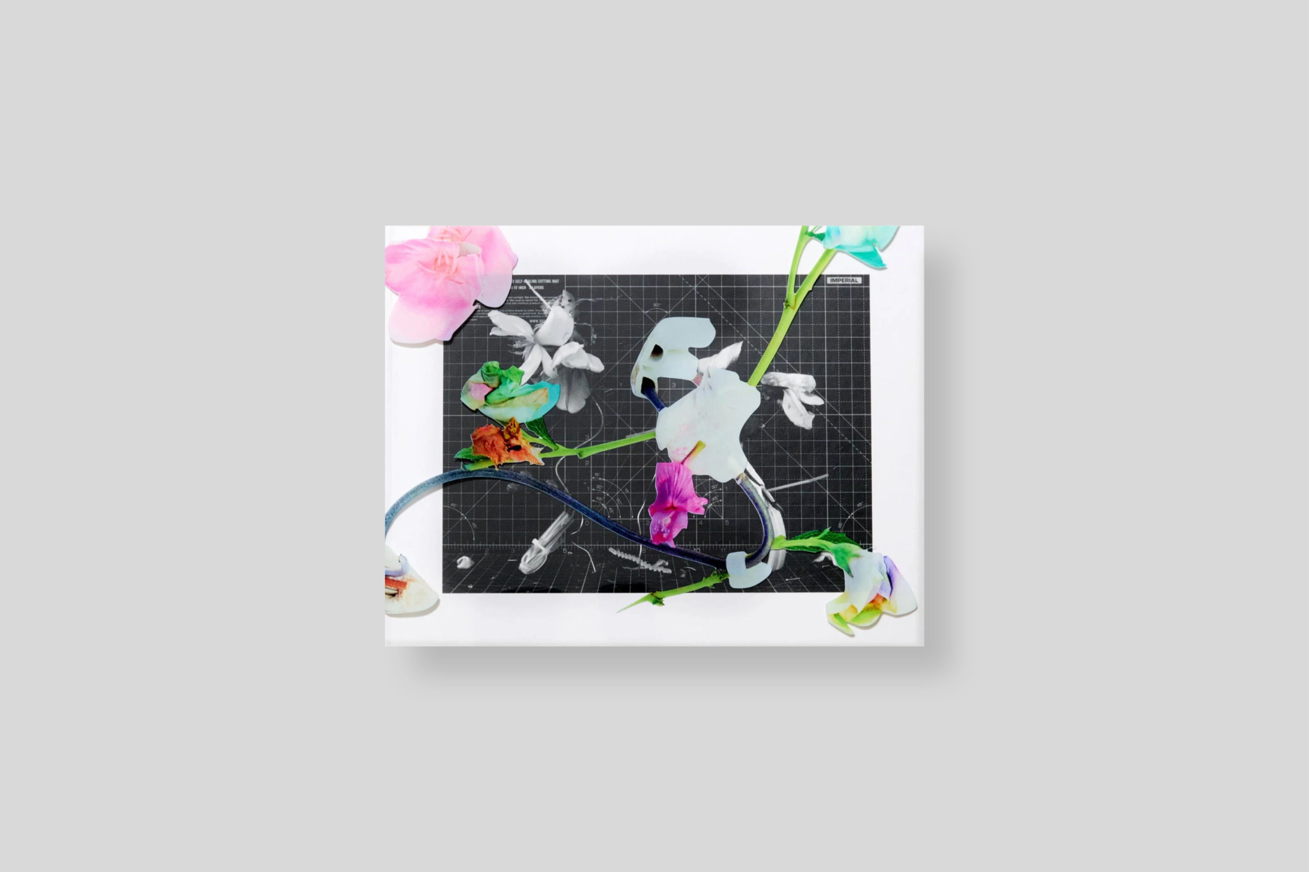 flowers-lajeunie-cover