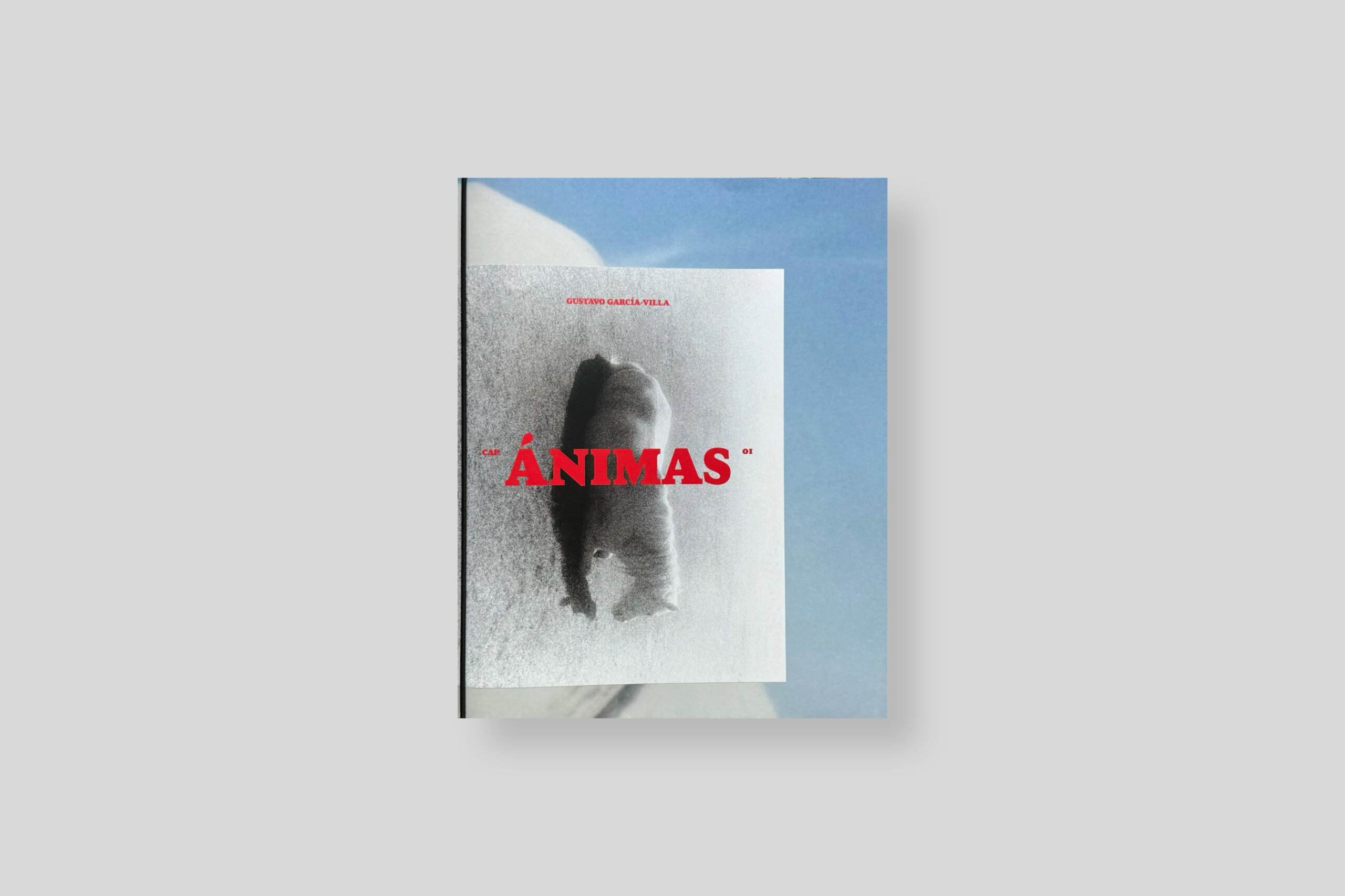 animas-garcia-villa-cover