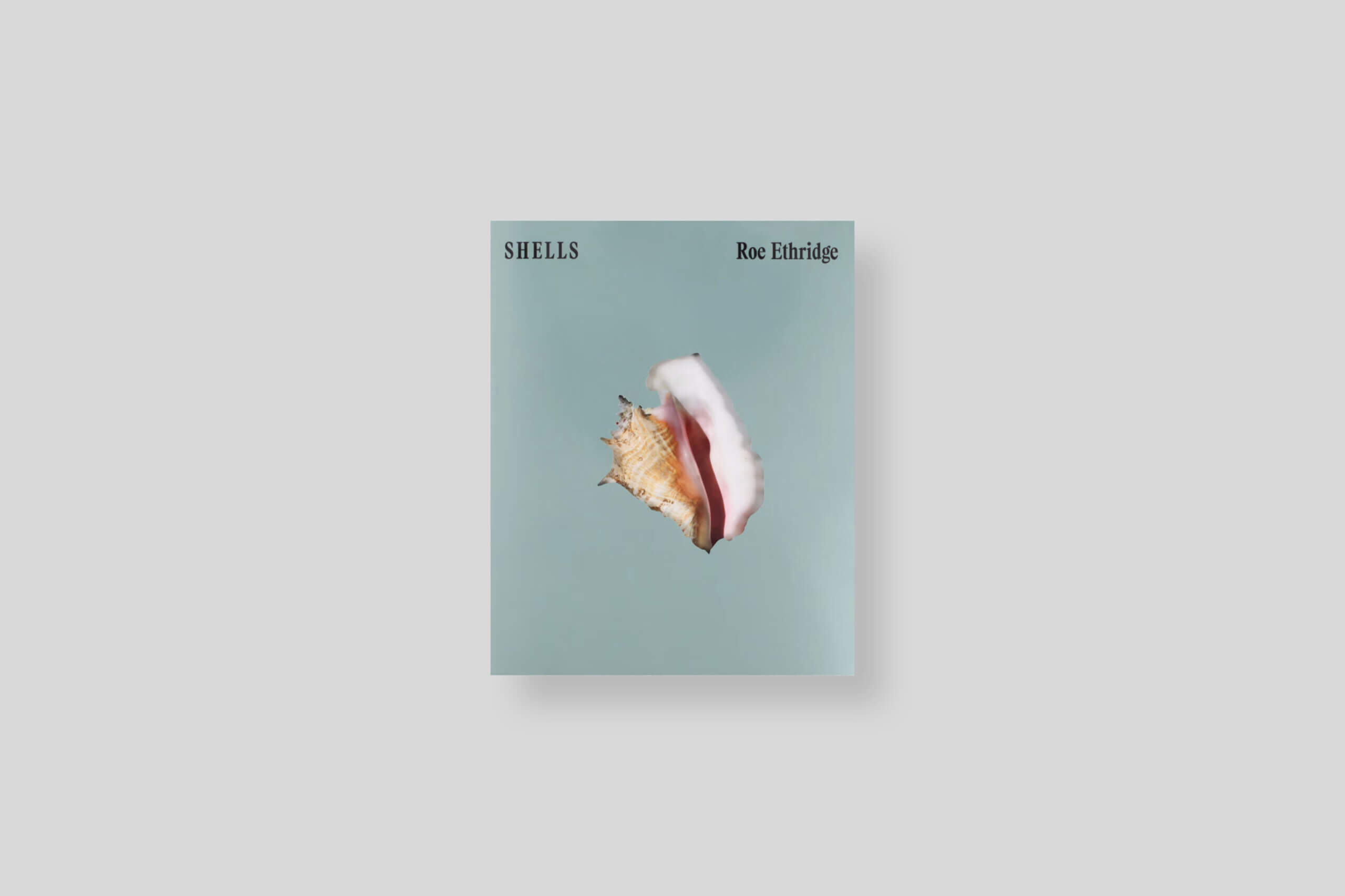shells-note-note-editions-cover