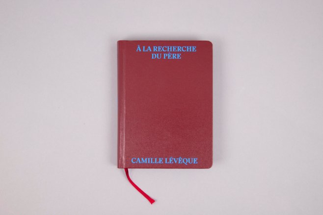 a-la-recherche-du-pere-cover