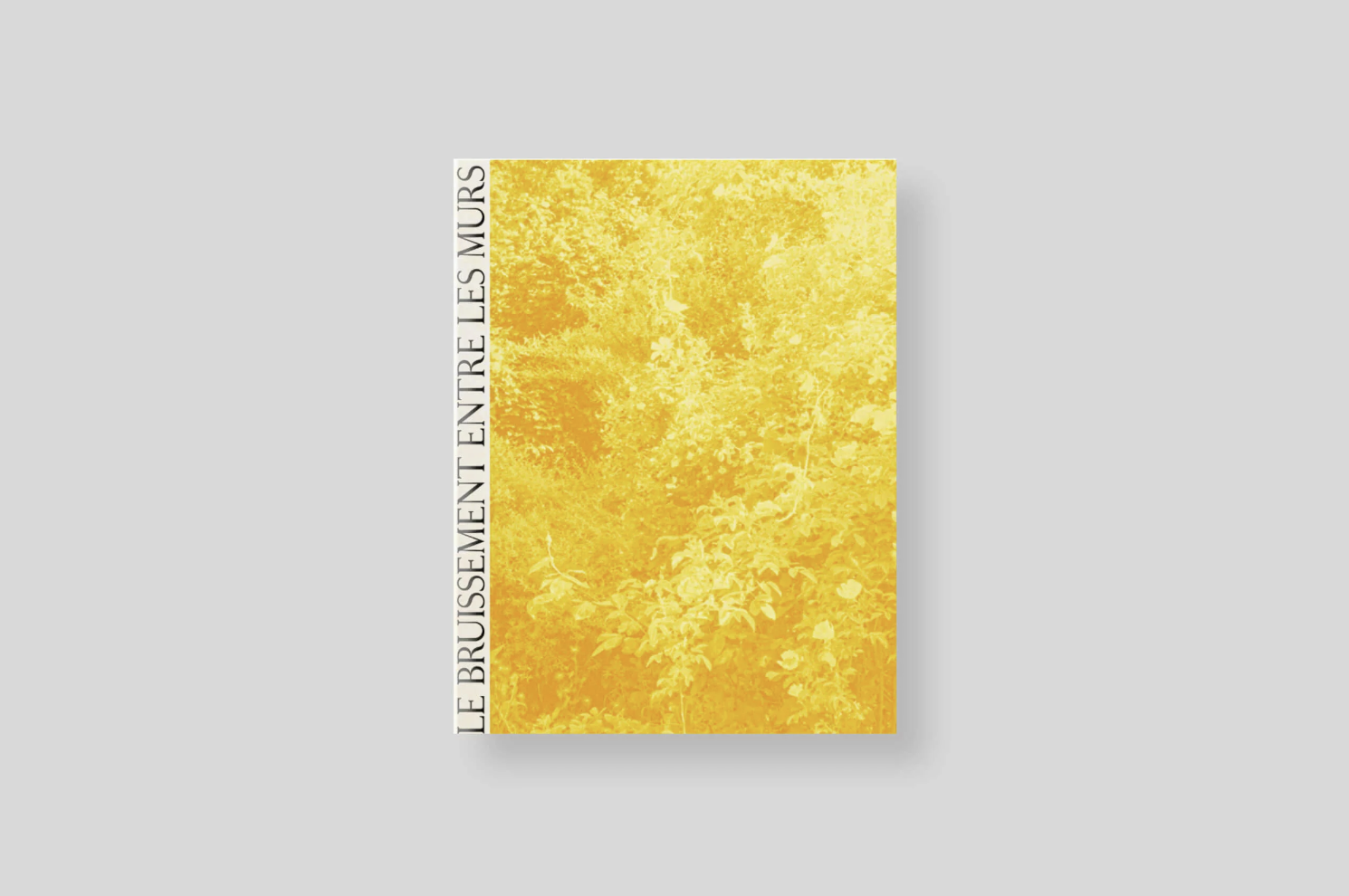 le-bruissement-entre-les-murs-cover