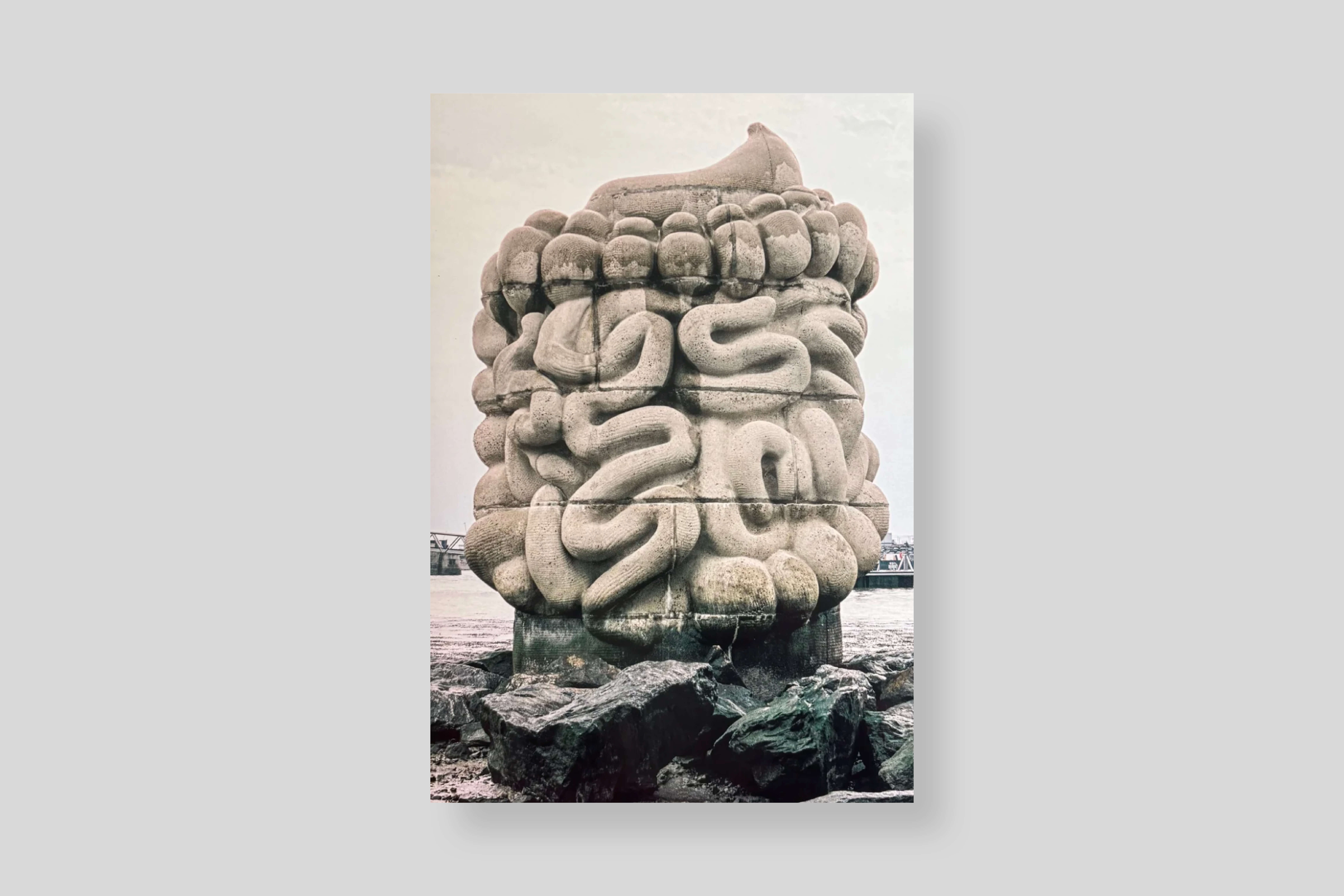 le-pied-le-pull-over-cover