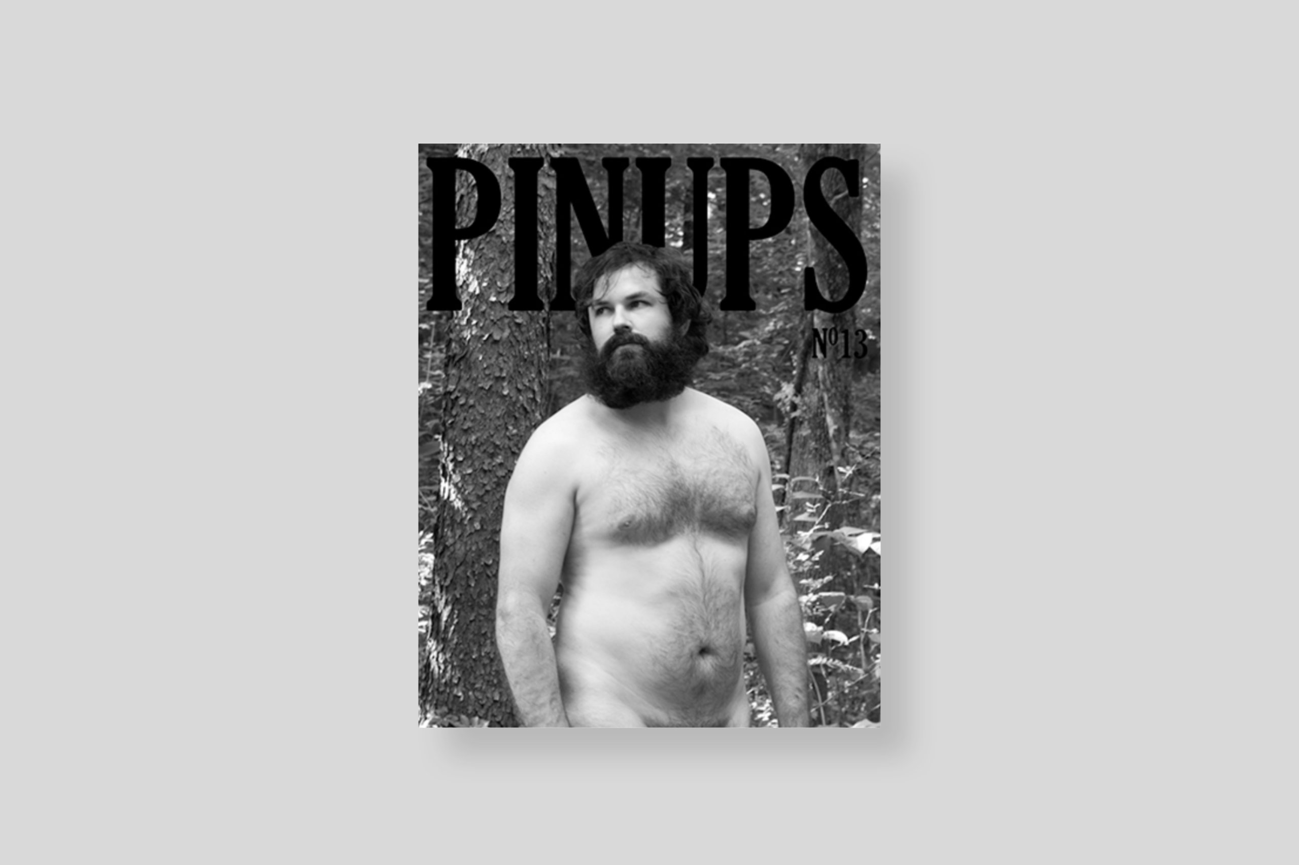 pinups-13