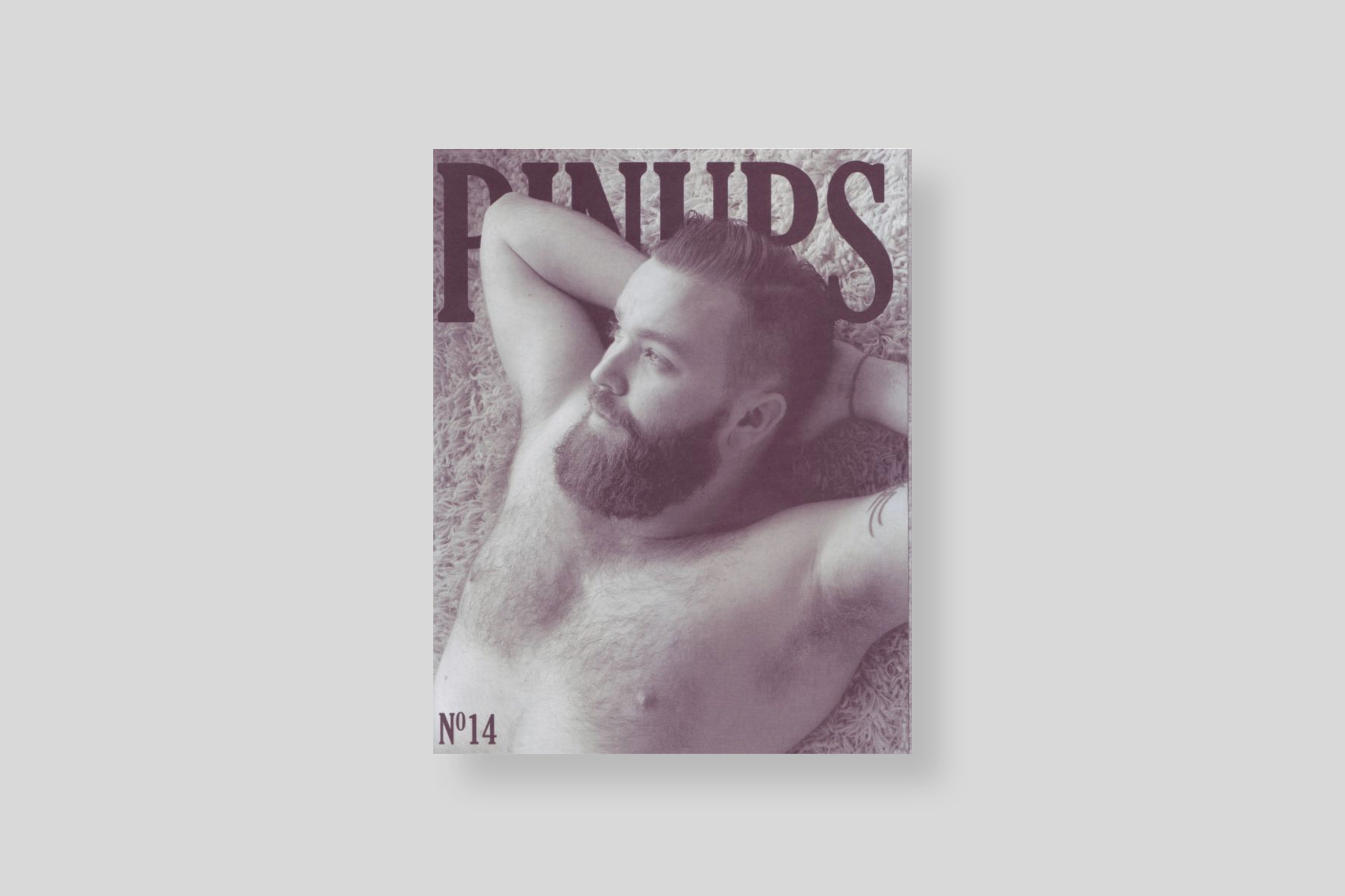 pinups-14-cover