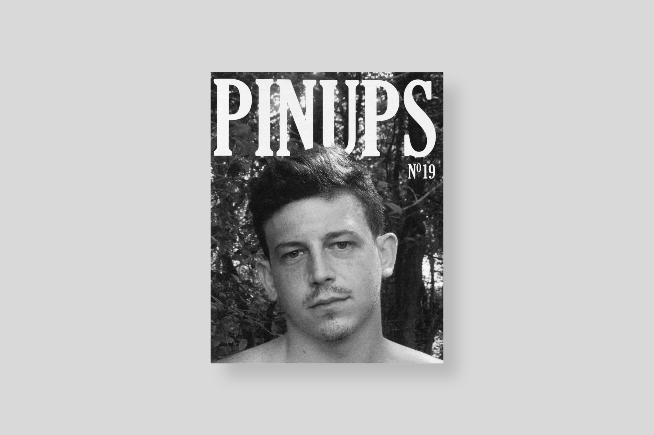 pinups-19-cover