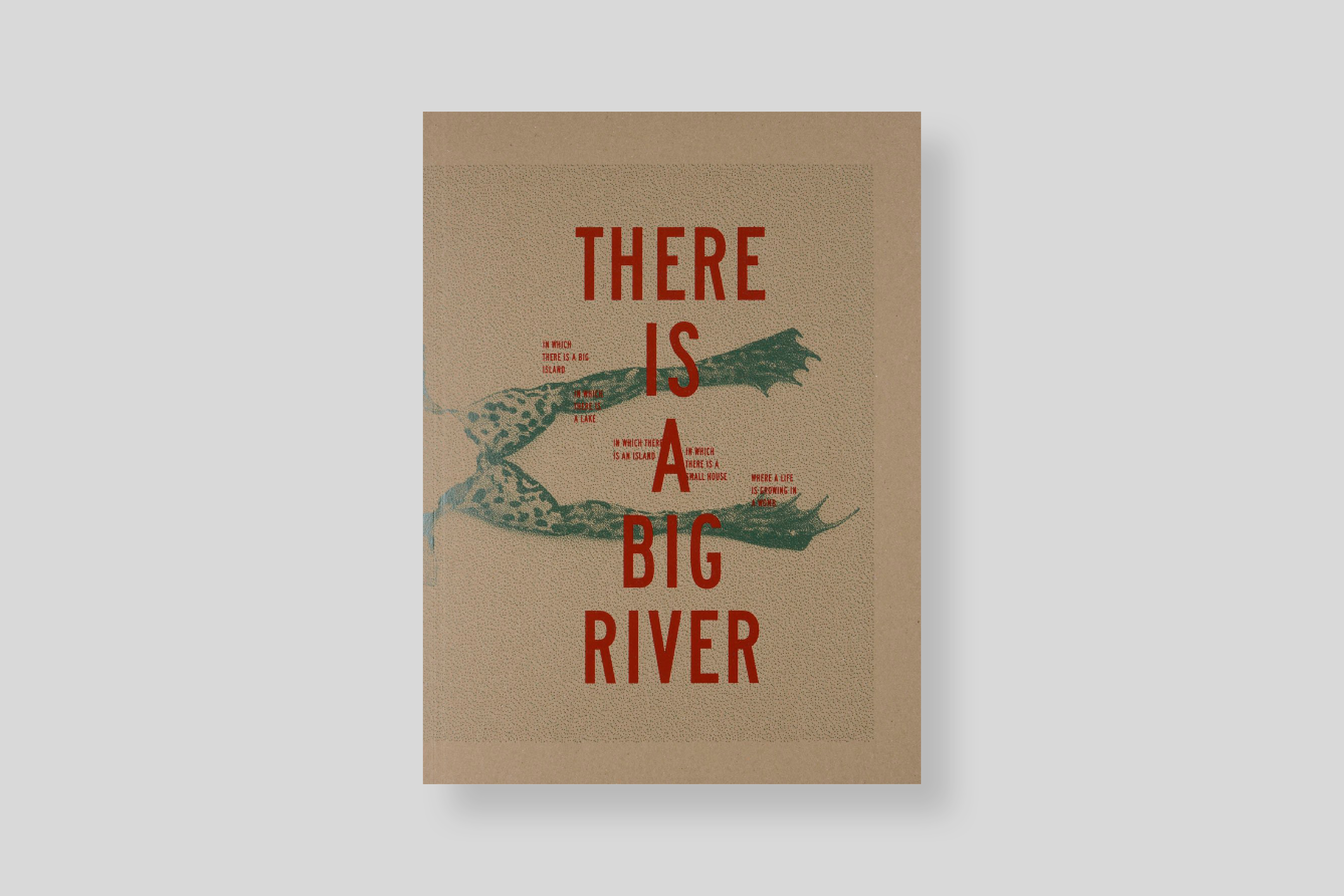 there-is-a-big-river-cover