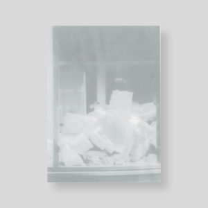 flying-freehold-cover