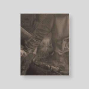 la-ronde-des-hirondelles-cover