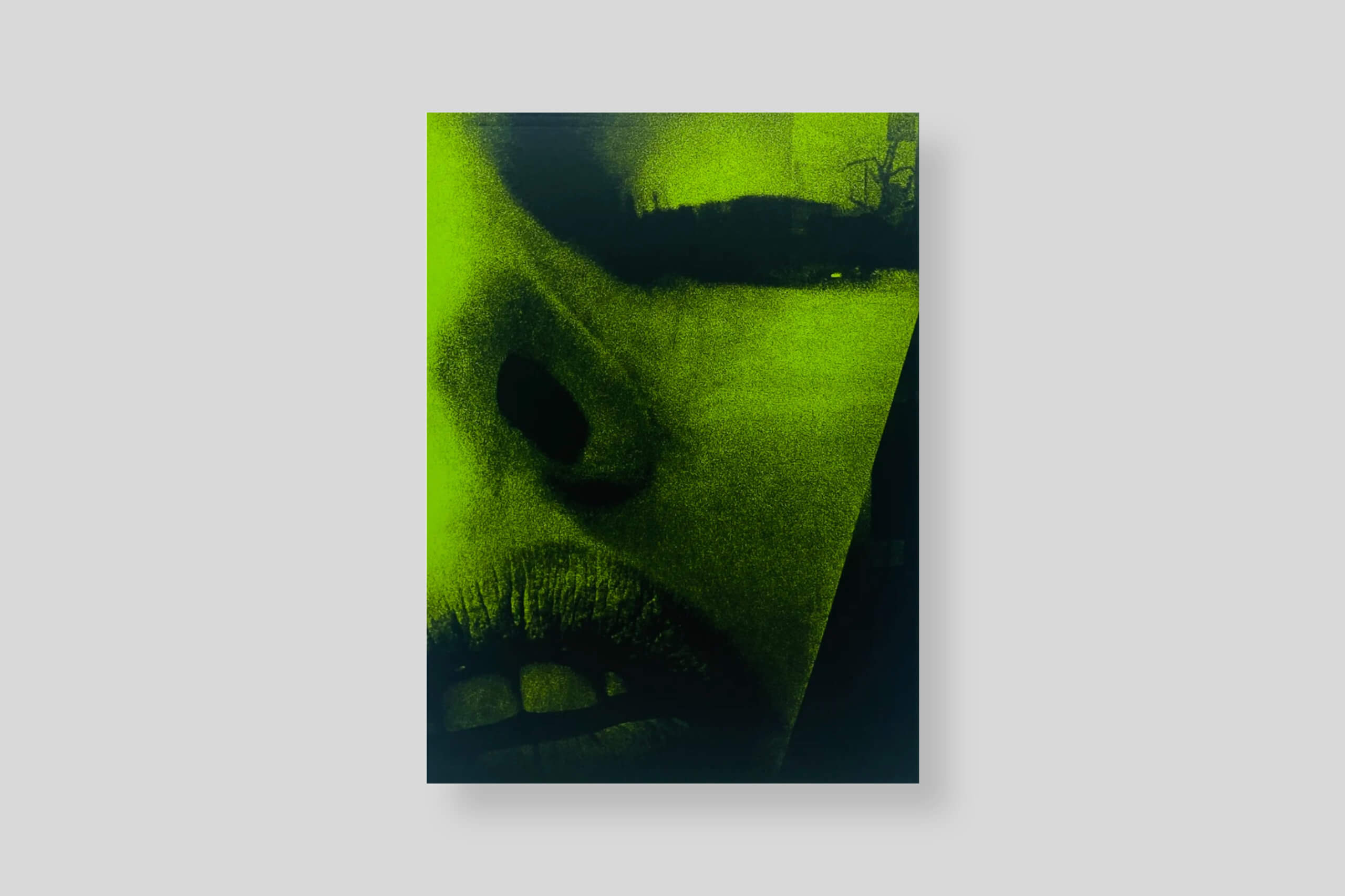 moriyama-quartet-cover